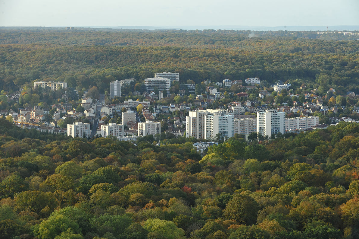 Enlèvement d'épaves à Chaville